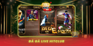 Da Ga Live Hitclub Tran Chien Kich Tinh Truc Tiep